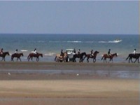 Cestou z Utah Beach - život pláže