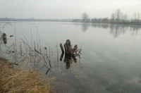 Jezero Tovačov II