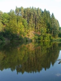 Rybník Šušek: Pětihektarový rybník Šušek se nalézá v údolí Šušku na dolním konci obce Písečná