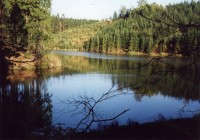 Rybník Šušek: Pětihektarový rybník vyplňuje údolí Šušku na dolním konci obce Písečná