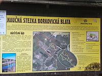 Borkovická blata