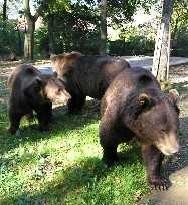 Výlet přes dvě rozhledny a tři medvědy