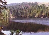 Šumava - Prášilské jezero