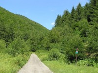 Starohradská dolina - cesta od Váhu k rozcestí (červenec 2006)