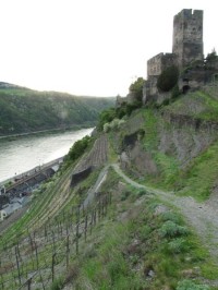 Kaub - procházka na hrad a zpět