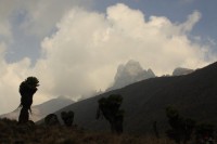 Mount Kenya Peaks