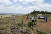Tourists Exploring Masai Mara