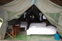 Masai Mara Tented Camp Accommodation