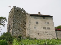 Hrad Habsburg - dochovaná západní část s věží