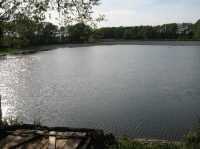Pavlovický rybník II