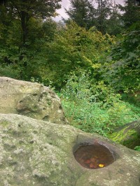 Skalní mísa na Čertově kameni