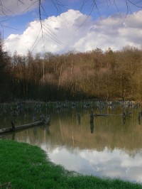 Přílucký rybník