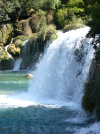 NP KRKA