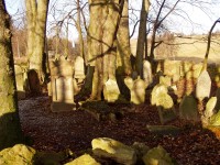 Židovský hřbitov Větrný Jeníkov