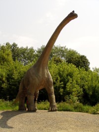 Brachiosairus