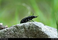 Vandr Povážským Inovcem, den 2. Květen 2025.