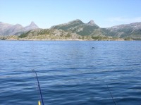 Na ryby na polární kruh do Norska