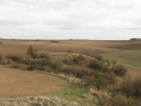 Přírodní památka Horka - izolovaný jižní pahorek při pohledu z jižního svahu hlavního pahorku - 2.4.2012
