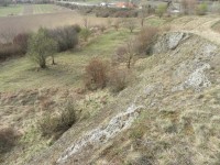 Přírodní památka Horka s nízkými až mezernatými travními porosty - 2.4.2012