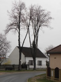 Rozcestník Konárovice - 5.4.2012