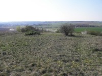 Přírodní památka Vinohrady - pohled směrem k Podolí - 18.4.2012
