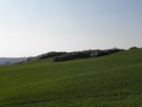 Přírodní památka Vinohrady - pohled na Skalku (v popředí) i hlavní pahorek od Tvarožné - 18.4.2012