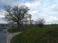 Jeřáb břek u Kosmákova kříže - 20.4.2012