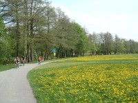 Cyklo- a inline-stezka kolem Sázavy - 5.5.2012