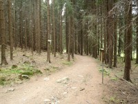 Lesní cesta k Mamutovi - 5.5.2012