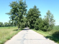 Silnice z Kratonoh do Roudnice - 16.6.2012