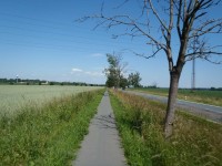 Sezka pro pěší z Obědovic do Kratonoh - 16.6.2012