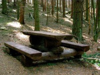 Cesta z Albrechtic vede lesem, můžete si i odpočinout, ale není to daleko