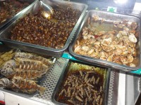 Peking u stánku s jídlem, ryby, mušle