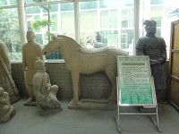 kůň a bojovník