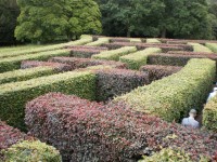 Scone Palace labyrint