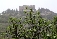 Ajlun - hrad