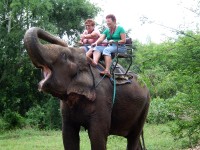 Thajsko - Wang Pho, sloní kemp