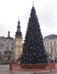 Masarykovo náměstí se stromečkem, vzadu vež staré radnice, kde je muzeum