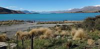 Nový Zéland - jezero Tekapo a kostel Good Shepherd