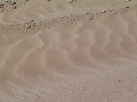 Sahara písečné duny