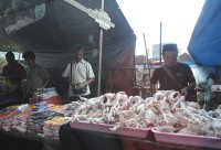 prodejce kuřat