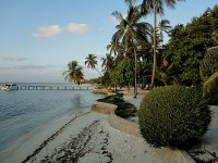 Maledivy, Faru