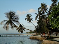 Maledivy Faru palmy nad vodou