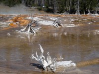 Yellowstone Firehole Falls