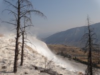 Yellowstone Mammoth Hot Spring Terraces