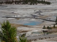 Yellowstone Noris Area