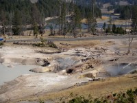 Yerllowstone Mud Volcano Arrea