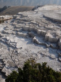 Yellowstone Mammoth Hot Spring Terraces