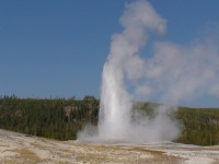 Yellowstone Old Faithful