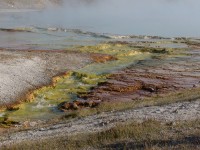 Yellowstone Midway Geyser Basin